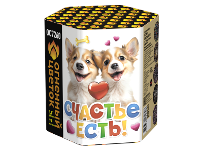 Счастье есть! Салют купить в Дорогобуже | dorogobuzh.salutsklad.ru