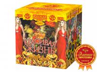 Красивая жизнь Фейерверк купить в Дорогобуже | dorogobuzh.salutsklad.ru