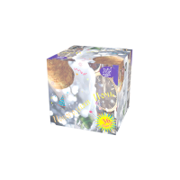 Новогодняя ночь Салют купить в Дорогобуже | dorogobuzh.salutsklad.ru