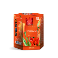 Тюльпаны Салют купить в Дорогобуже | dorogobuzh.salutsklad.ru