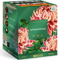 Хризантемы Фейерверк купить в Дорогобуже | dorogobuzh.salutsklad.ru