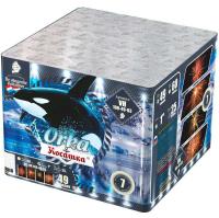 Косатка Фейерверк купить в Дорогобуже | dorogobuzh.salutsklad.ru